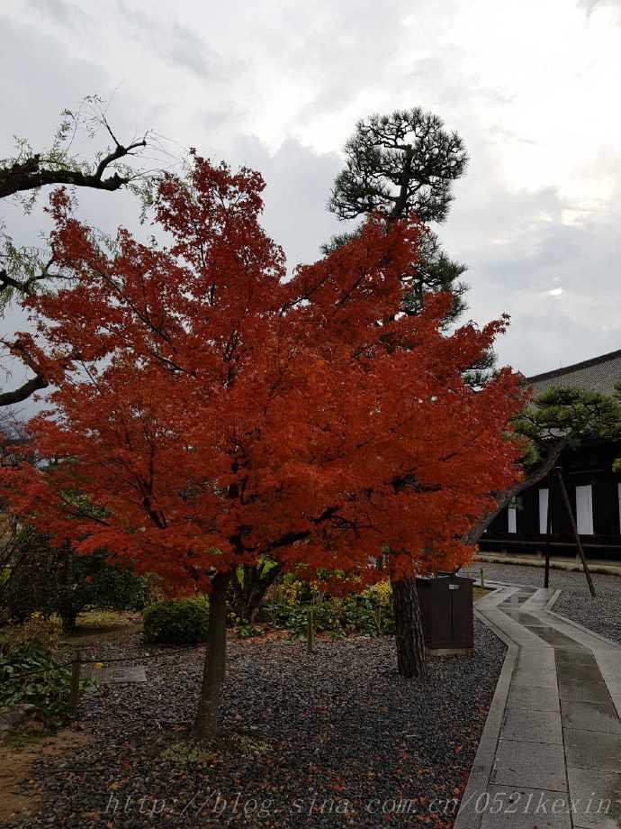 三十三间堂-14.jpeg 三十三间堂 14