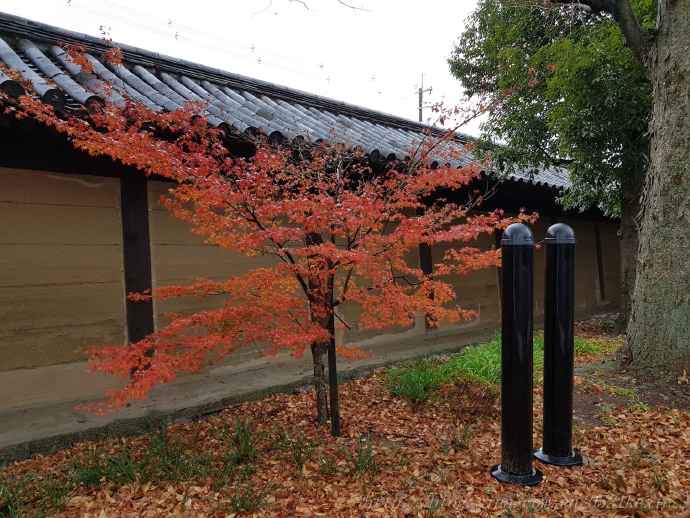 三十三间堂-18.jpeg 三十三间堂 18