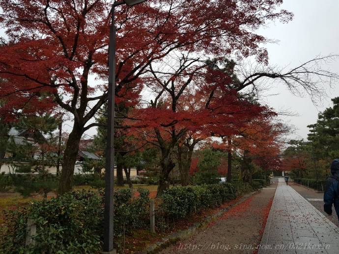 三十三间堂-24.jpeg 三十三间堂 24