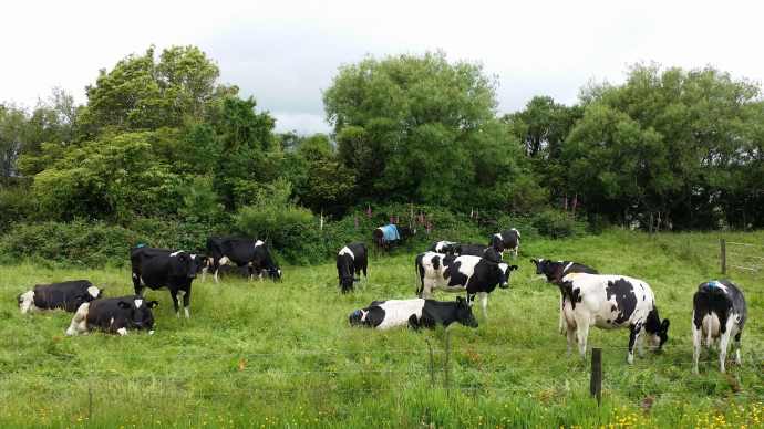 三峡口城堡山-01.jpeg 三峡口城堡山 01