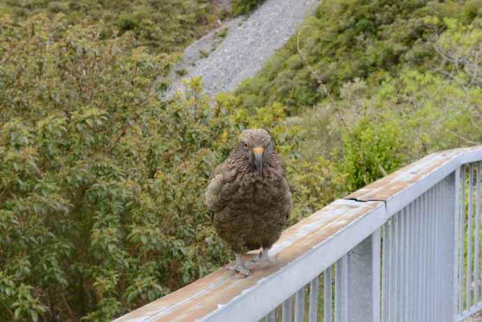 三峡口城堡山-10.jpeg 三峡口城堡山 10