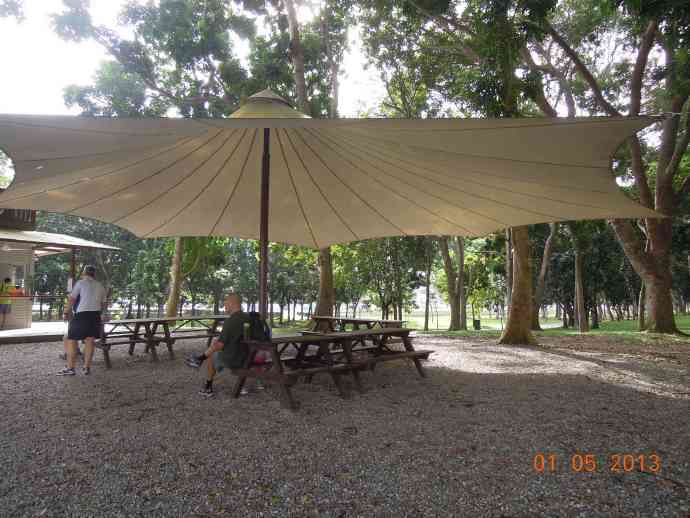 丛林冒险-01.jpeg 丛林冒险 01