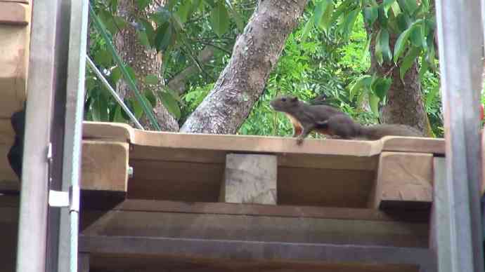 丛林冒险-09.jpeg 丛林冒险 09