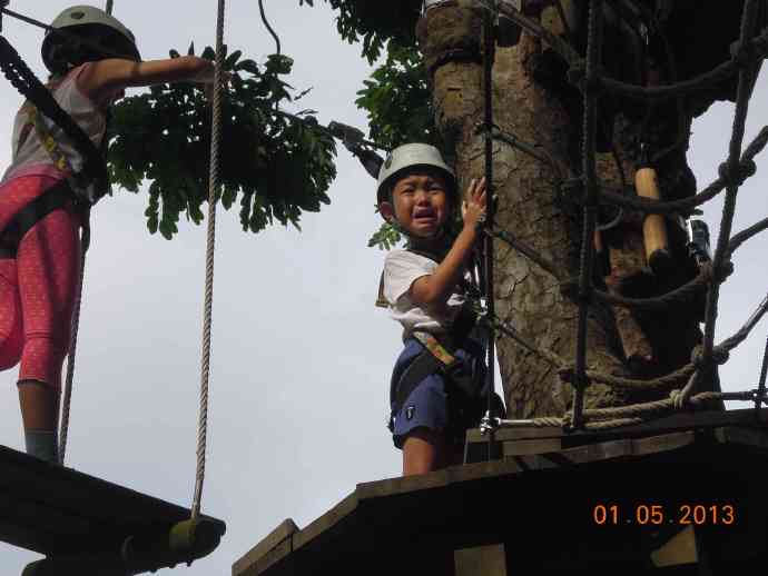 丛林冒险-10.jpeg 丛林冒险 10