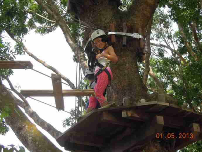 丛林冒险-11.jpeg 丛林冒险 11