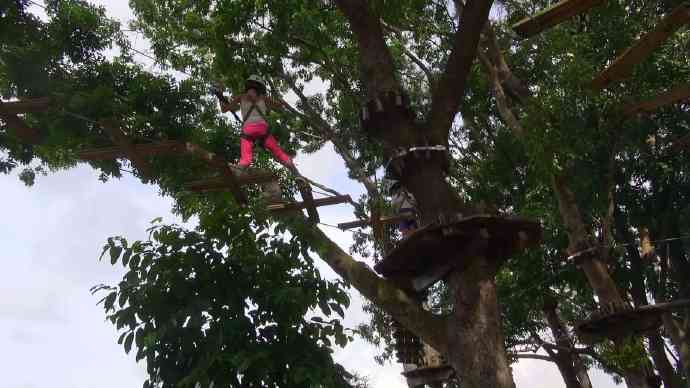 丛林冒险-12.jpeg 丛林冒险 12