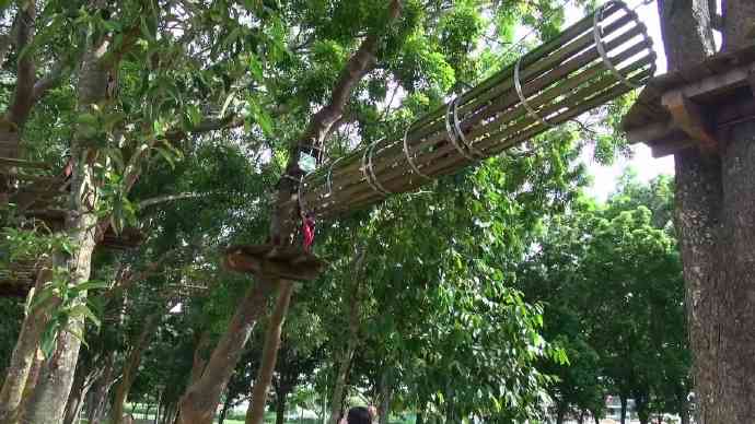 丛林冒险-14.jpeg 丛林冒险 14