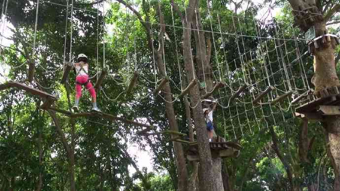 丛林冒险-16.jpeg 丛林冒险 16