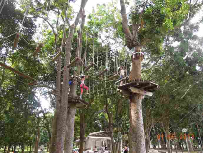 丛林冒险-20.jpeg 丛林冒险 20