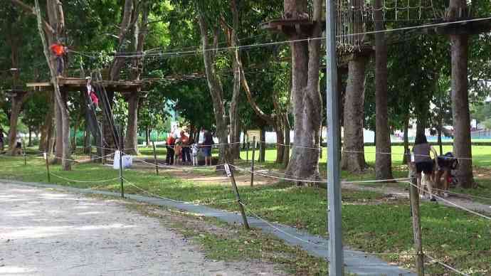 丛林冒险-22.jpeg 丛林冒险 22