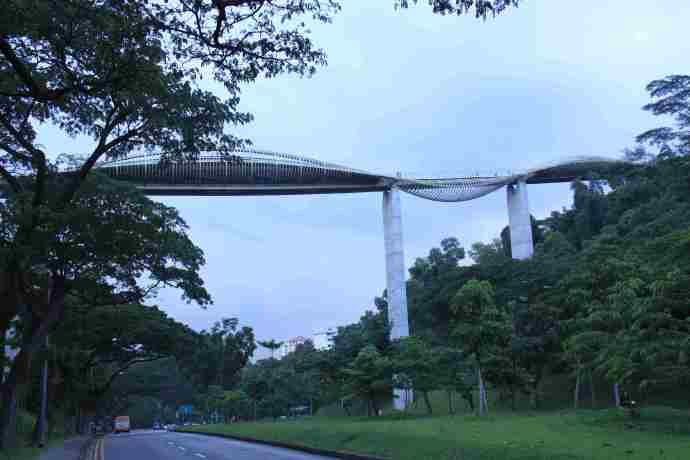 丛林走路-01.jpeg 丛林走路 01