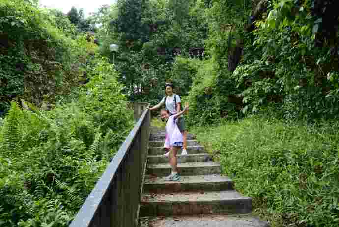 丛林走路-02.jpeg 丛林走路 02