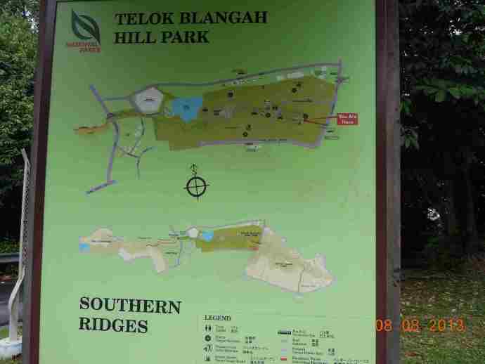 丛林走路-03.jpeg 丛林走路 03