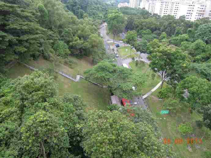 丛林走路-05.jpeg 丛林走路 05