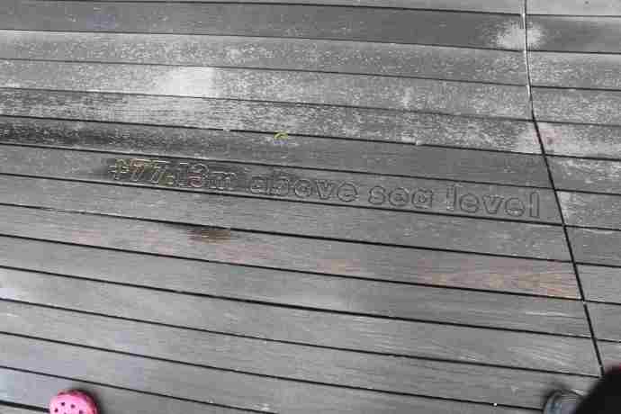 丛林走路-06.jpeg 丛林走路 06