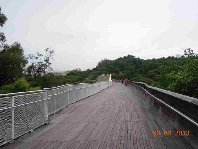 丛林走路-07.jpeg 丛林走路 07