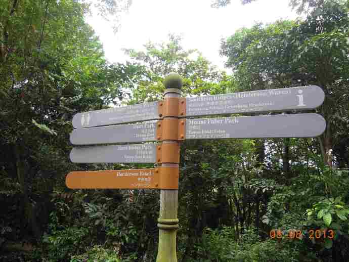 丛林走路-08.jpeg 丛林走路 08