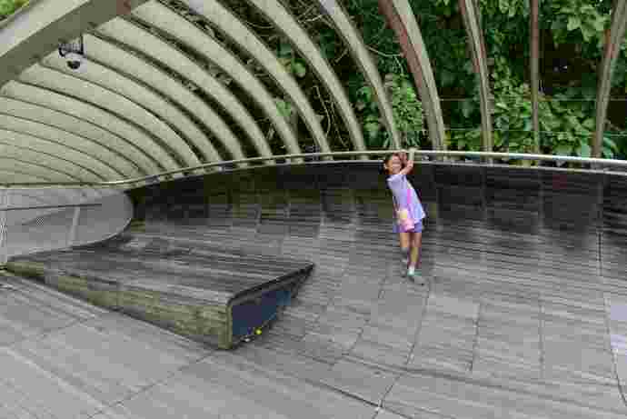 丛林走路-10.jpeg 丛林走路 10