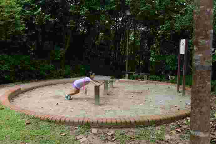 丛林走路-11.jpeg 丛林走路 11