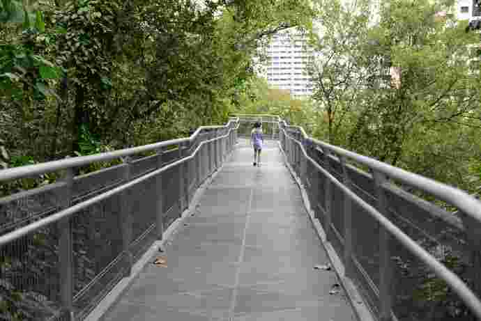 丛林走路-12.jpeg 丛林走路 12