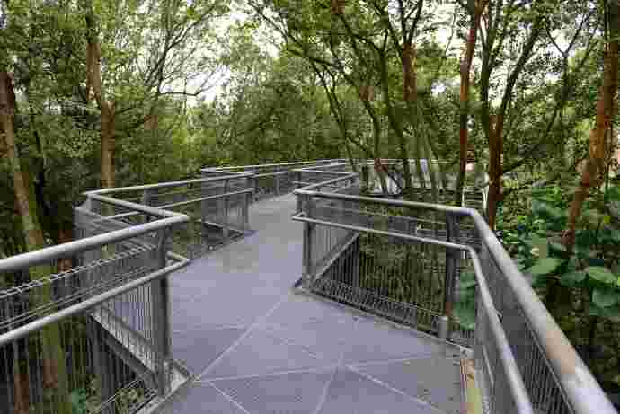 丛林走路-16.jpeg 丛林走路 16