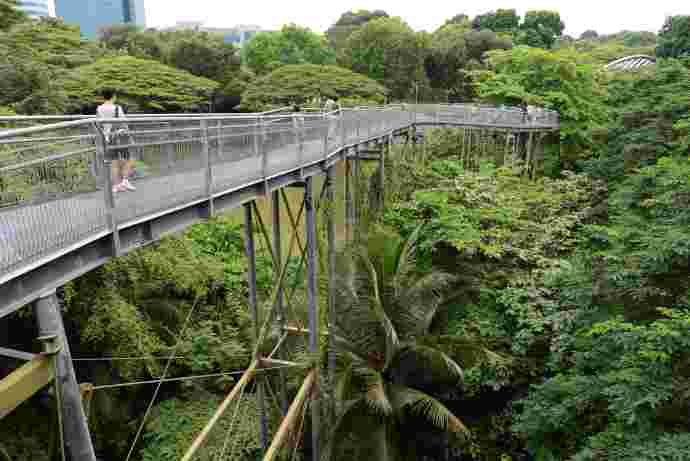 丛林走路-18.jpeg 丛林走路 18