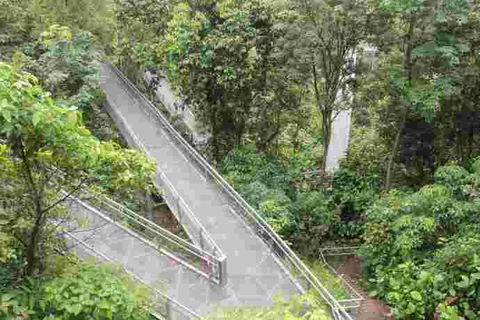 丛林走路-19.jpeg 丛林走路 19