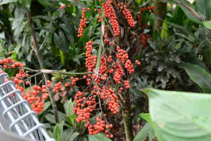 丛林走路-20.jpeg 丛林走路 20