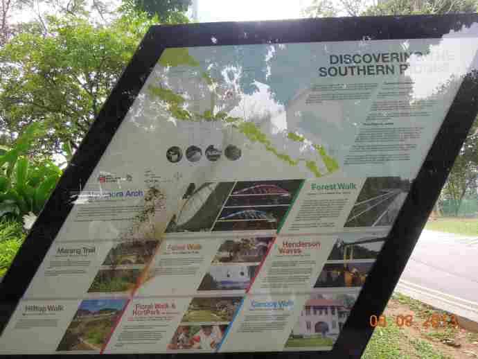 丛林走路-25.jpeg 丛林走路 25