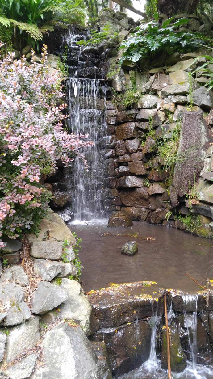 丹顿农山-005.jpeg 丹顿农山 005