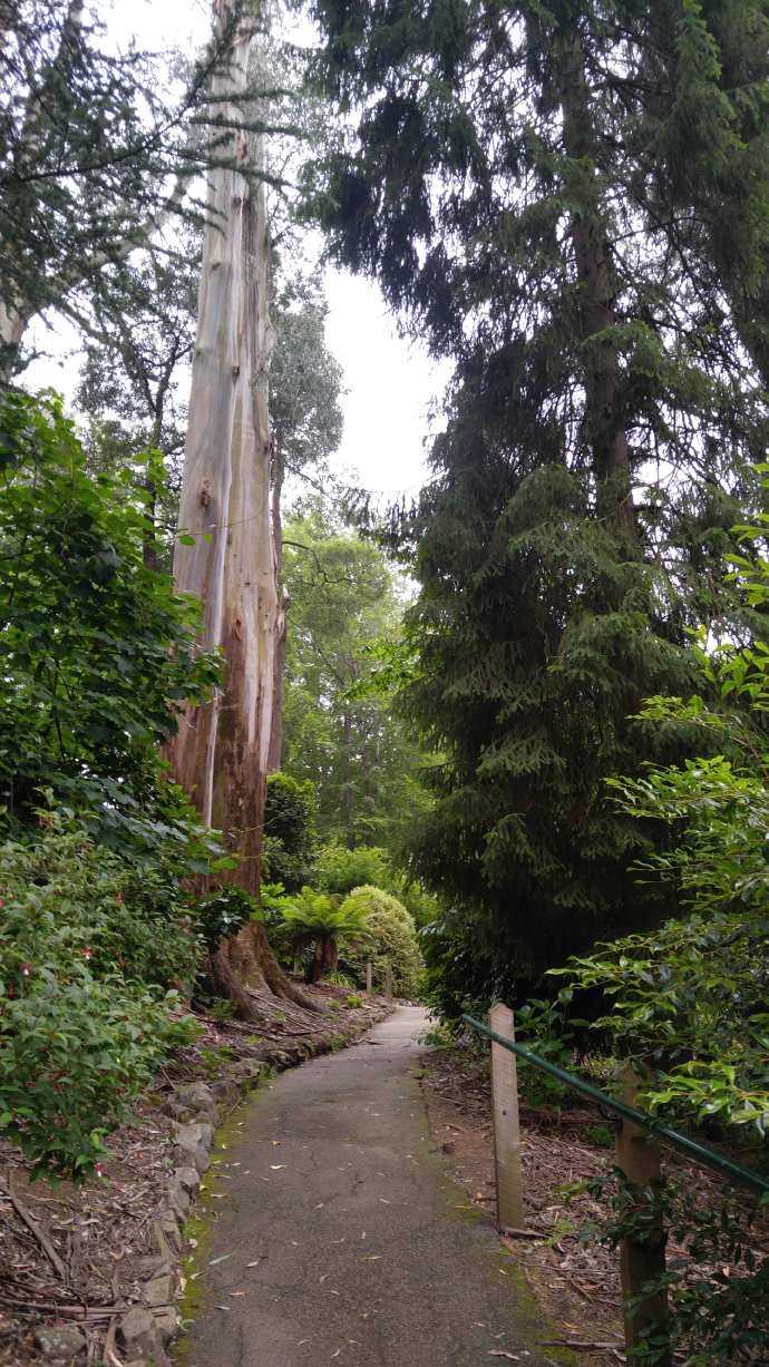 丹顿农山-007.jpeg 丹顿农山 007