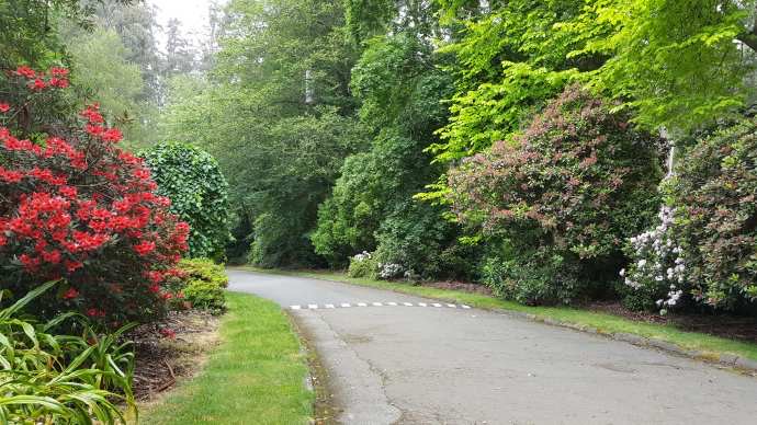 丹顿农山-008.jpeg 丹顿农山 008