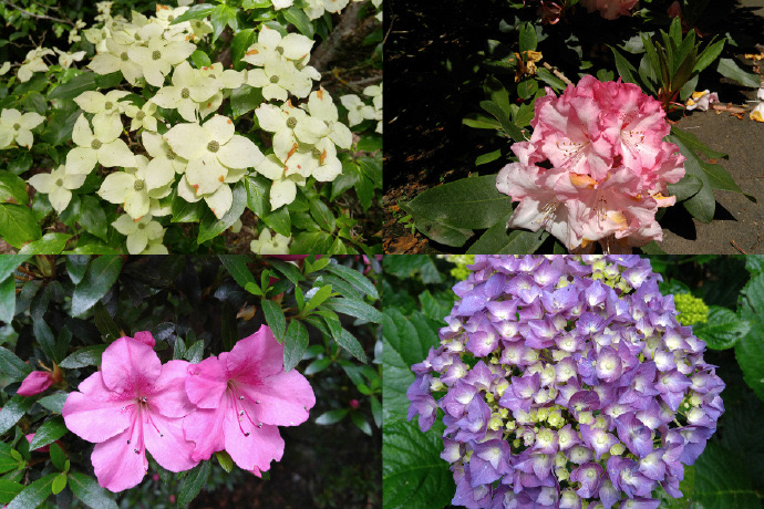 丹顿农山-009.jpeg 丹顿农山 009