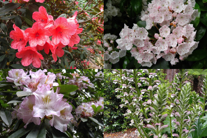 丹顿农山-010.jpeg 丹顿农山 010