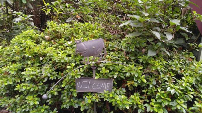 丹顿农山-018.jpeg 丹顿农山 018