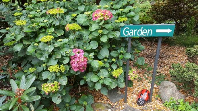 丹顿农山-019.jpeg 丹顿农山 019