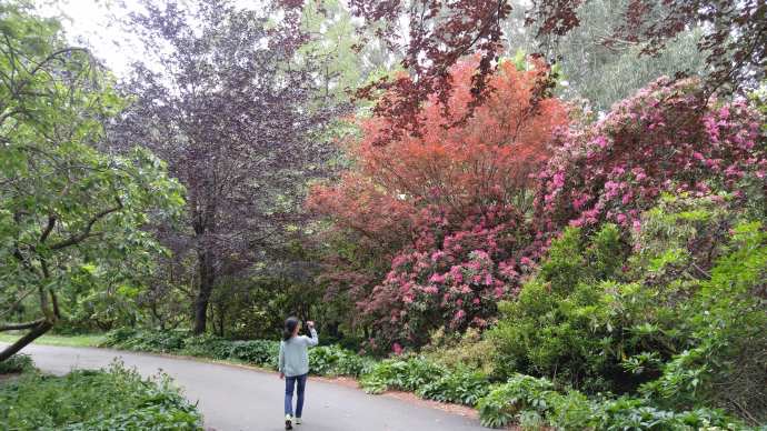 丹顿农山-020.jpeg 丹顿农山 020