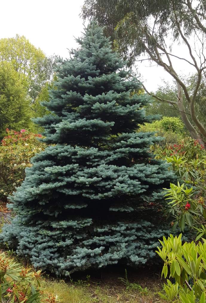 丹顿农山-022.jpeg 丹顿农山 022