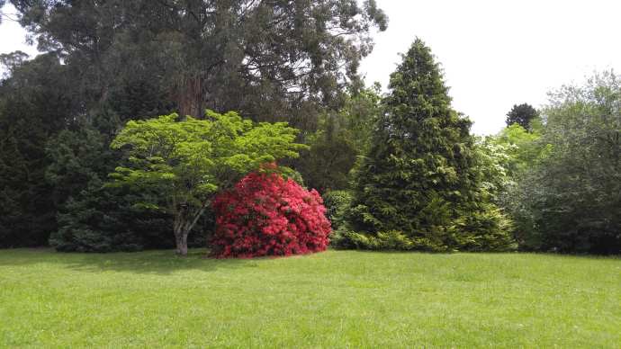 丹顿农山-023.jpeg 丹顿农山 023