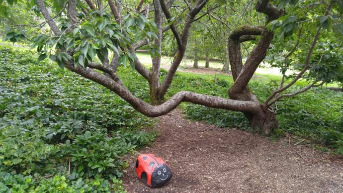 丹顿农山-025.jpeg 丹顿农山 025