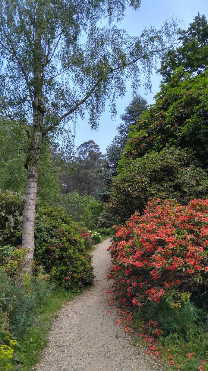 丹顿农山-026.jpeg 丹顿农山 026