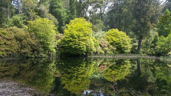 丹顿农山-027.jpeg 丹顿农山 027