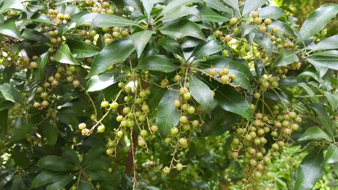 丹顿农山-028.jpeg 丹顿农山 028