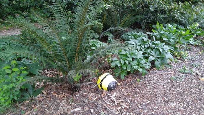 丹顿农山-029.jpeg 丹顿农山 029