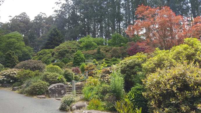 丹顿农山-030.jpeg 丹顿农山 030