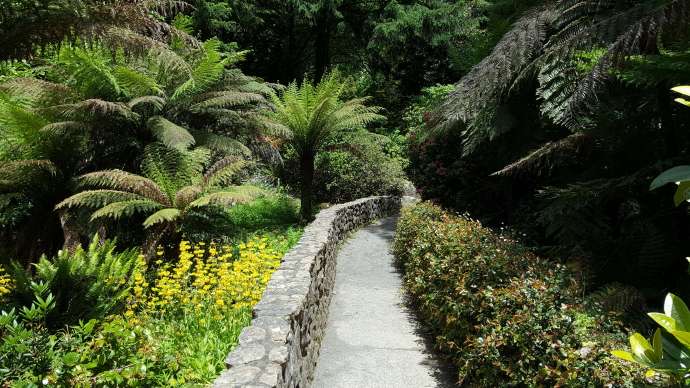 丹顿农山-031.jpeg 丹顿农山 031