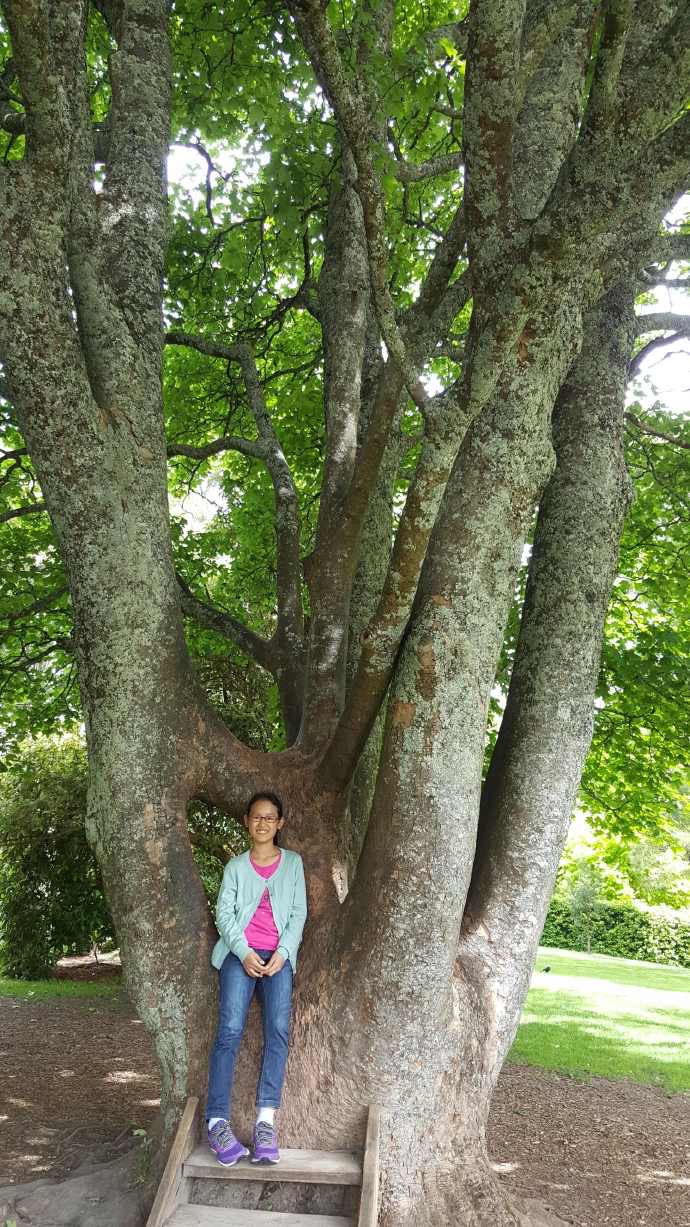 丹顿农山-040.jpeg 丹顿农山 040