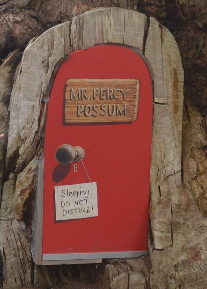 丹顿农山-045.jpeg 丹顿农山 045