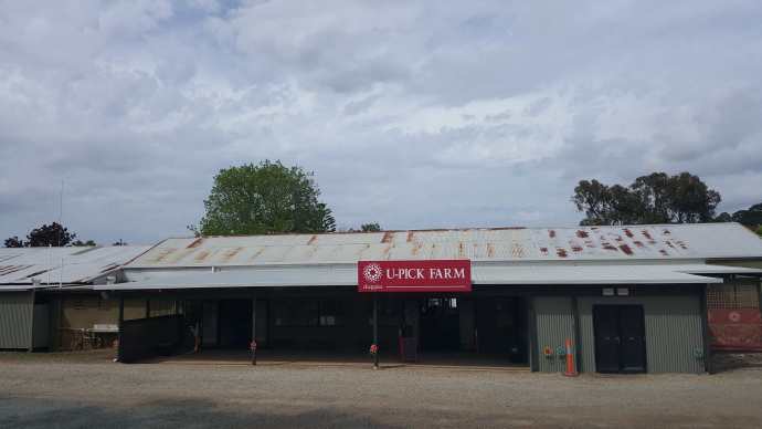 丹顿农山-046.jpeg 丹顿农山 046