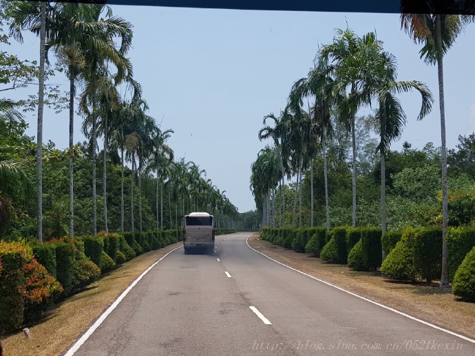 云顶邮轮-025.jpeg 云顶邮轮 025